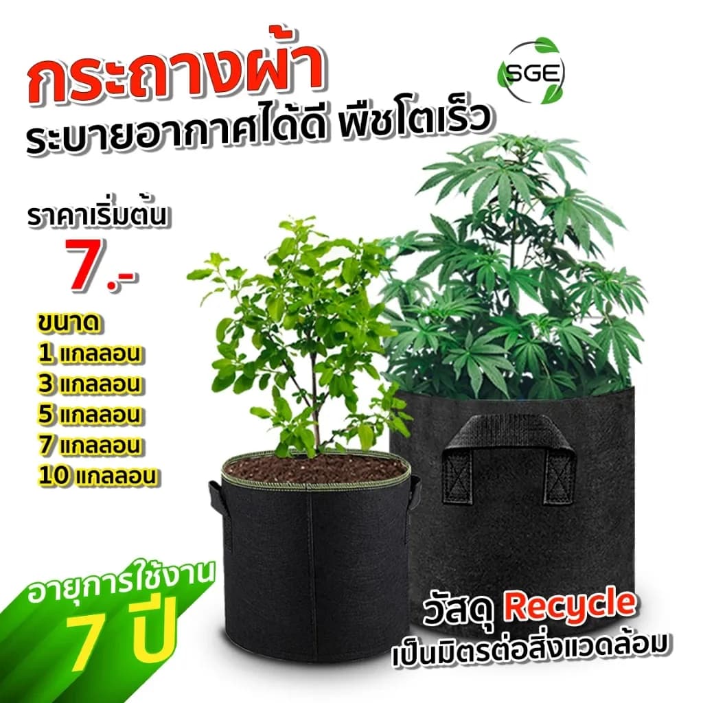 SGE กระถางผ้า กระถางผ้าปลูกต้นไม้ ถุงปลูกต้นไม้ กระถางต้นไม้ GB Gallon ของแท้จาก SGE
