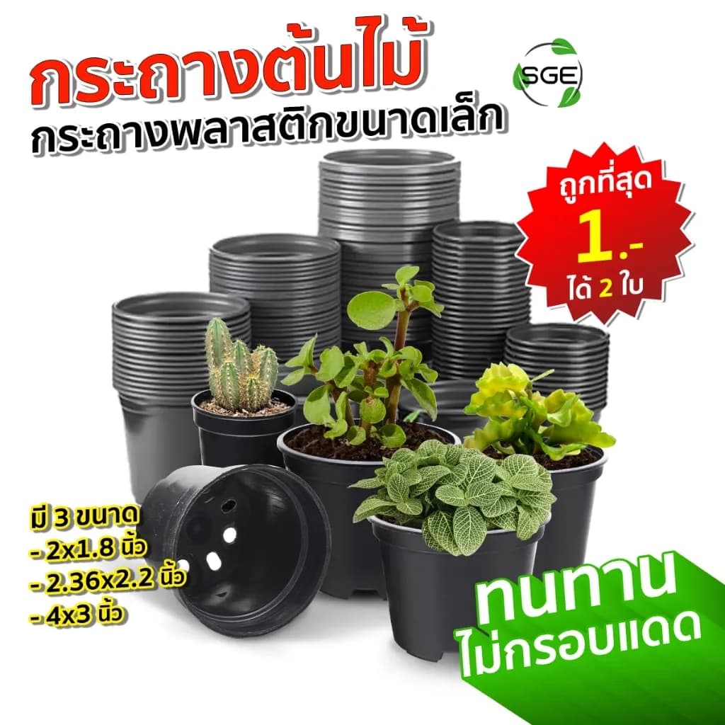 SGE กระถาง ทนทาน กระถางต้นไม้พลาสติก รุ่น POT-C ไม่แตกหักง่าย กระถางดำ ถูกที่สุด ของแท้จาก SGE