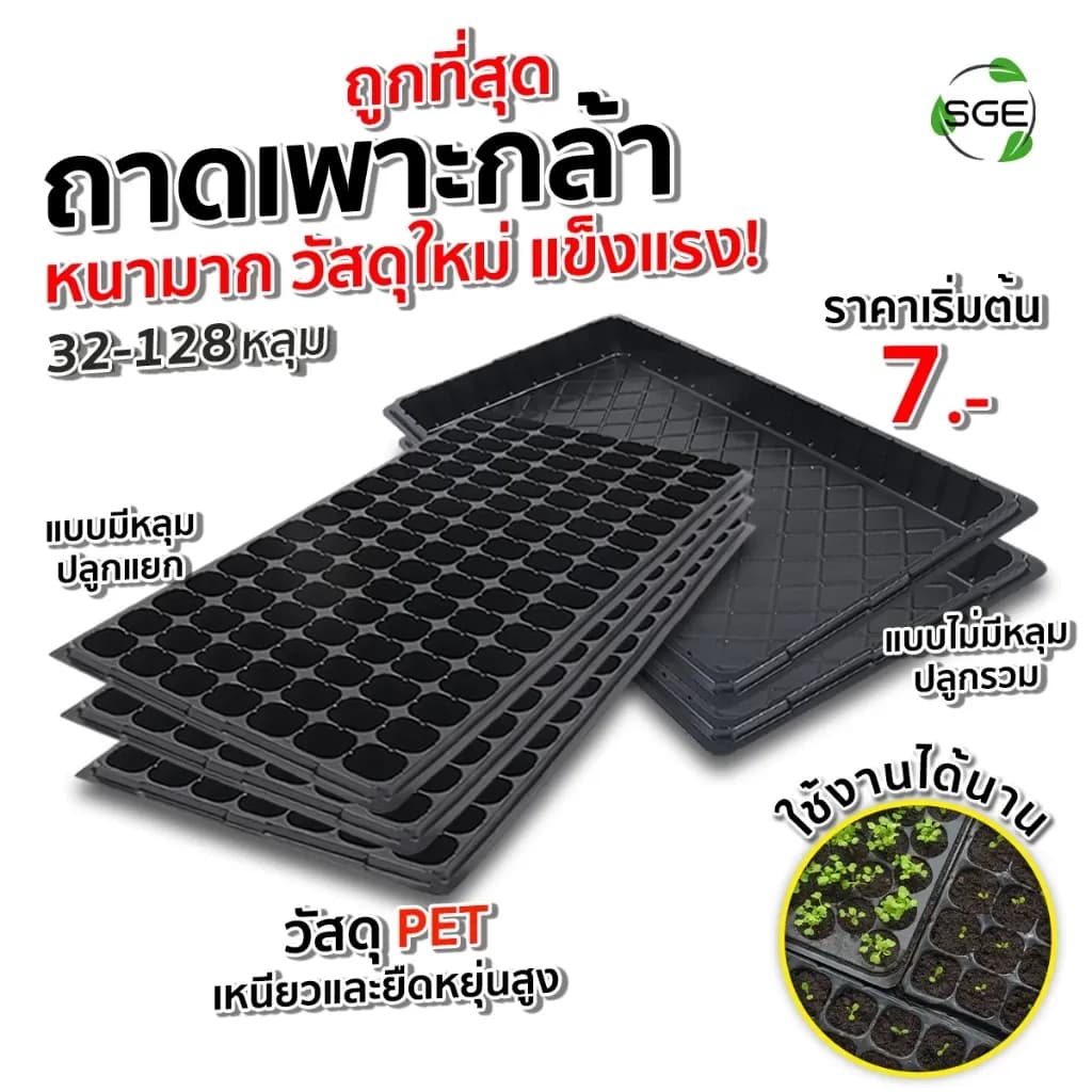 SGE ถาดเพาะกล้าเพาะเมล็ด รุ่น GT วัสดุ PET หนามาก ยืดหยุน ป้องกันรากเน่า การันตรี คุณภาพ 100%