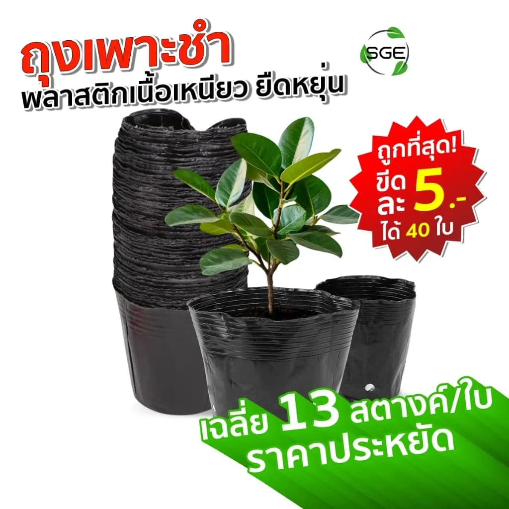 SGE ถุงเพาะชำ ถุงดําปลูกต้นไม้ รุ่น POT-D ส่งไว เนื้อมัน เหนียว หนา ไม่ขาดง่าย คุณภาพดี ราคาแบบขีด